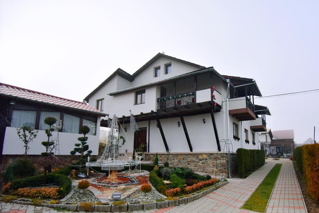 Pensiunea Casa Elena Agnita Exterior photo