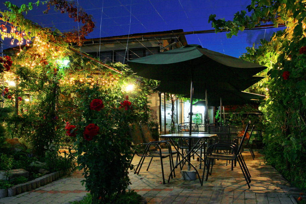 Pensiunea Casa Elena Agnita Exterior photo